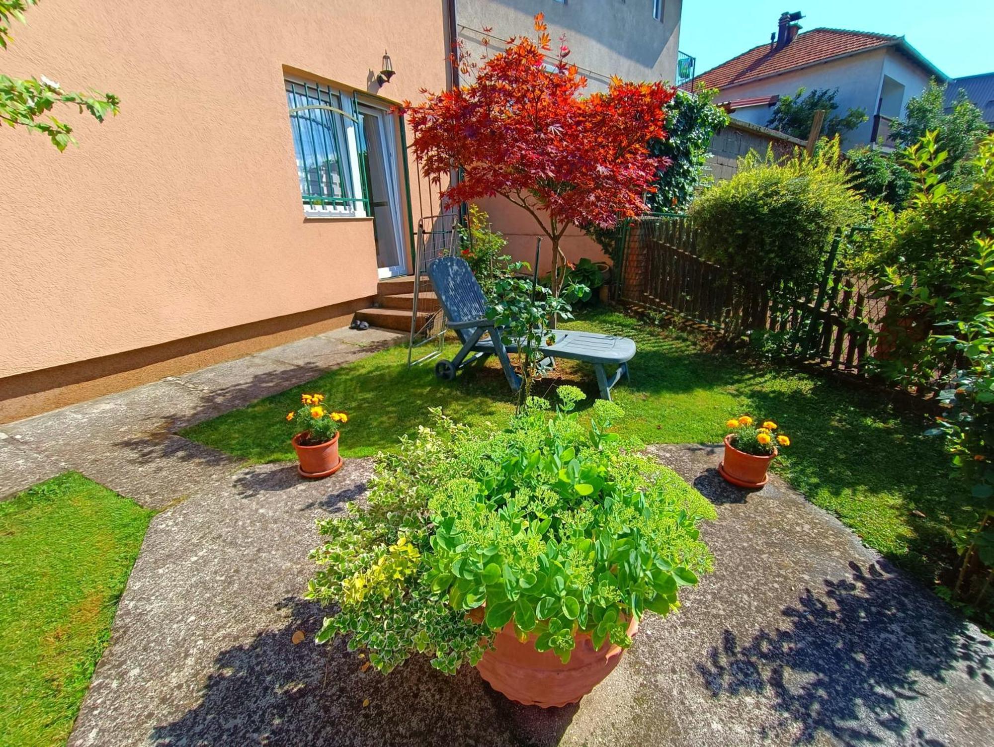 Garden Free Parking Apartment SJJ Room photo
